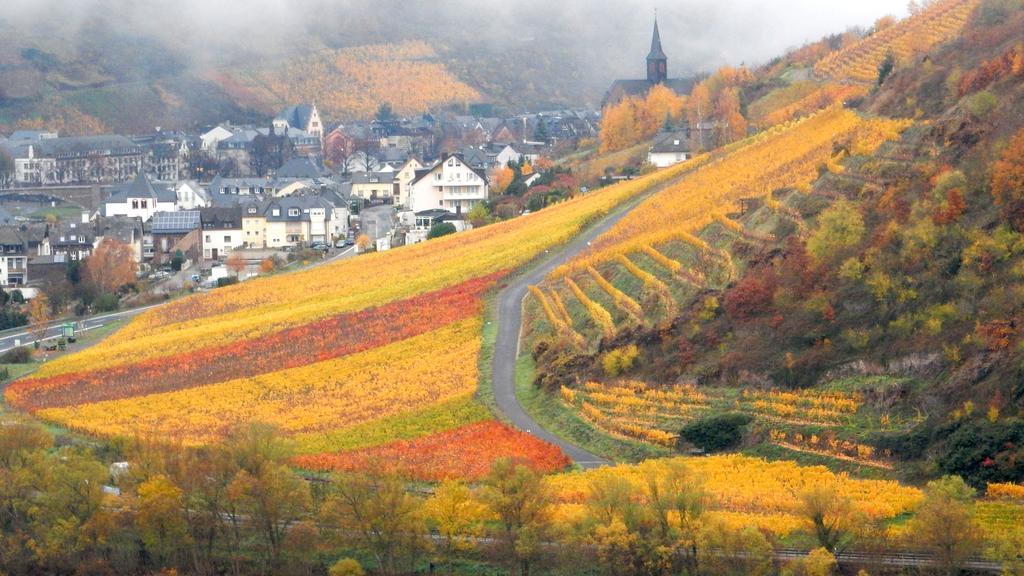 Apartment Happy Mosel Cochem Exterior foto